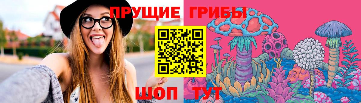наркотики  Галлюциногенные грибы MAGIC MUSHROOMS  Вход с VPN  Шуя 